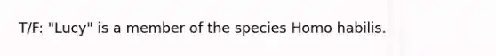 T/F: "Lucy" is a member of the species Homo habilis.