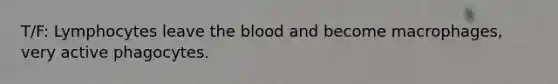 T/F: Lymphocytes leave the blood and become macrophages, very active phagocytes.