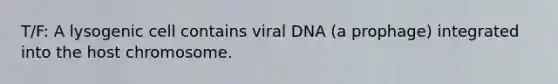 T/F: A lysogenic cell contains viral DNA (a prophage) integrated into the host chromosome.