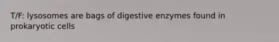 T/F: lysosomes are bags of <a href='https://www.questionai.com/knowledge/kK14poSlmL-digestive-enzymes' class='anchor-knowledge'>digestive enzymes</a> found in <a href='https://www.questionai.com/knowledge/k1BuXhIsgo-prokaryotic-cells' class='anchor-knowledge'>prokaryotic cells</a>