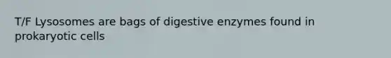 T/F Lysosomes are bags of digestive enzymes found in prokaryotic cells