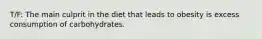 T/F: The main culprit in the diet that leads to obesity is excess consumption of carbohydrates.