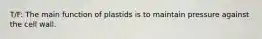 T/F: The main function of plastids is to maintain pressure against the cell wall.