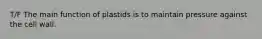 T/F The main function of plastids is to maintain pressure against the cell wall.