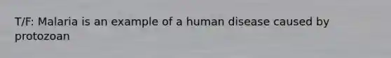 T/F: Malaria is an example of a human disease caused by protozoan