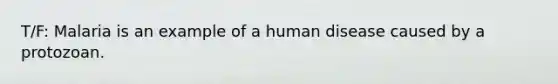 T/F: Malaria is an example of a human disease caused by a protozoan.