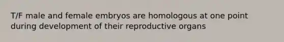 T/F male and female embryos are homologous at one point during development of their reproductive organs