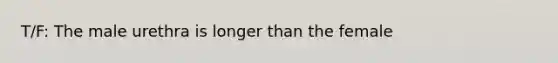 T/F: The male urethra is longer than the female