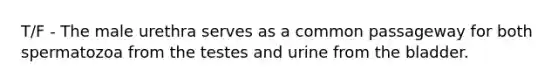 T/F - The male urethra serves as a common passageway for both spermatozoa from the testes and urine from the bladder.