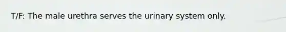 T/F: The male urethra serves the urinary system only.