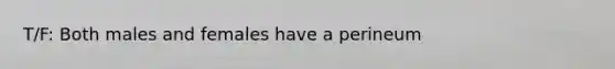 T/F: Both males and females have a perineum