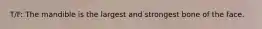 T/F: The mandible is the largest and strongest bone of the face.