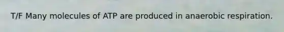 T/F Many molecules of ATP are produced in anaerobic respiration.