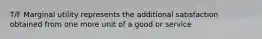 T/F Marginal utility represents the additional satisfaction obtained from one more unit of a good or service