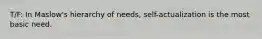 T/F: In Maslow's hierarchy of needs, self-actualization is the most basic need.