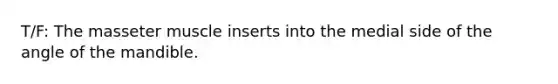T/F: The masseter muscle inserts into the medial side of the angle of the mandible.