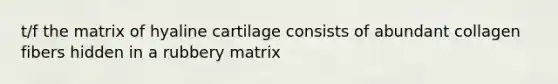 t/f the matrix of hyaline cartilage consists of abundant collagen fibers hidden in a rubbery matrix