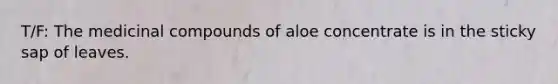 T/F: The medicinal compounds of aloe concentrate is in the sticky sap of leaves.