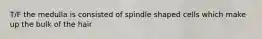 T/F the medulla is consisted of spindle shaped cells which make up the bulk of the hair