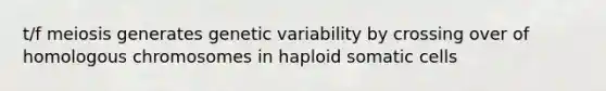 t/f meiosis generates genetic variability by crossing over of homologous chromosomes in haploid somatic cells