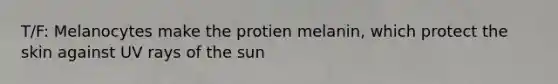 T/F: Melanocytes make the protien melanin, which protect the skin against UV rays of the sun