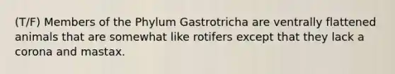 (T/F) Members of the Phylum Gastrotricha are ventrally flattened animals that are somewhat like rotifers except that they lack a corona and mastax.