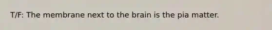 T/F: The membrane next to the brain is the pia matter.