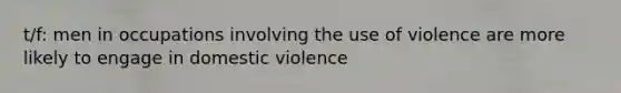 t/f: men in occupations involving the use of violence are more likely to engage in domestic violence