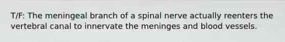 T/F: The meningeal branch of a spinal nerve actually reenters the vertebral canal to innervate the meninges and blood vessels.