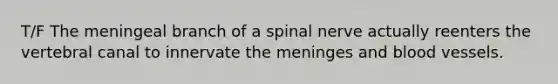 T/F The meningeal branch of a spinal nerve actually reenters the vertebral canal to innervate <a href='https://www.questionai.com/knowledge/k36SqhoPCV-the-meninges' class='anchor-knowledge'>the meninges</a> and <a href='https://www.questionai.com/knowledge/kZJ3mNKN7P-blood-vessels' class='anchor-knowledge'>blood vessels</a>.