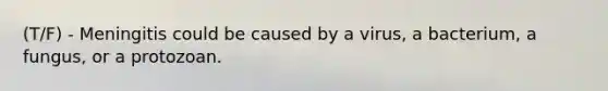 (T/F) - Meningitis could be caused by a virus, a bacterium, a fungus, or a protozoan.