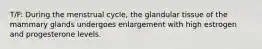 T/F: During the menstrual cycle, the glandular tissue of the mammary glands undergoes enlargement with high estrogen and progesterone levels.