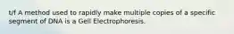 t/f A method used to rapidly make multiple copies of a specific segment of DNA is a Gell Electrophoresis.