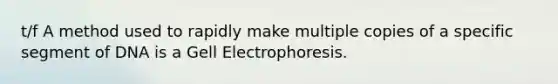 t/f A method used to rapidly make multiple copies of a specific segment of DNA is a Gell Electrophoresis.