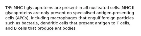 T/F: MHC I glycoproteins are present in all nucleated cells. MHC II glycoproteins are only present on specialised antigen-presenting cells (APCs), including macrophages that engulf foreign particles such as bacteria, dendritic cells that present antigen to T cells, and B cells that produce antibodies