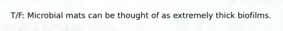T/F: Microbial mats can be thought of as extremely thick biofilms.
