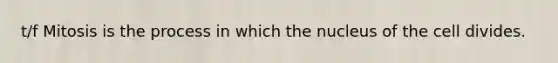 t/f Mitosis is the process in which the nucleus of the cell divides.