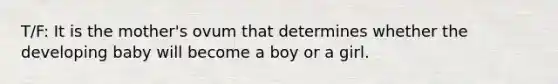 T/F: It is the mother's ovum that determines whether the developing baby will become a boy or a girl.