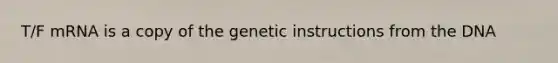 T/F mRNA is a copy of the genetic instructions from the DNA