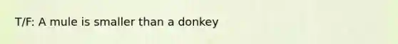 T/F: A mule is smaller than a donkey