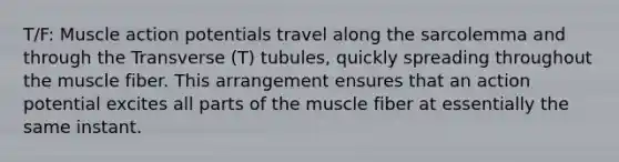 T/F: Muscle action potentials travel along the sarcolemma and through the Transverse (T) tubules, quickly spreading throughout the muscle fiber. This arrangement ensures that an action potential excites all parts of the muscle fiber at essentially the same instant.