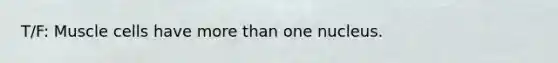 T/F: Muscle cells have more than one nucleus.