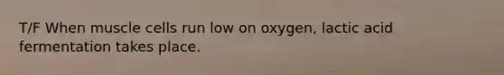 T/F When muscle cells run low on oxygen, lactic acid fermentation takes place.