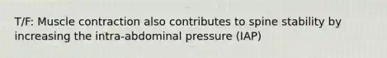 T/F: Muscle contraction also contributes to spine stability by increasing the intra-abdominal pressure (IAP)