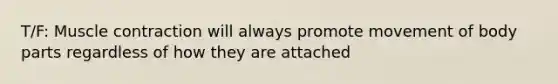 T/F: Muscle contraction will always promote movement of body parts regardless of how they are attached