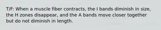 T/F: When a muscle fiber contracts, the I bands diminish in size, the H zones disappear, and the A bands move closer together but do not diminish in length.