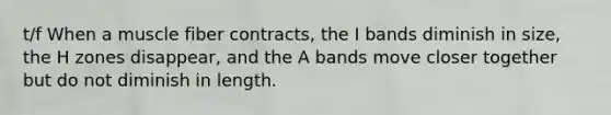 t/f When a muscle fiber contracts, the I bands diminish in size, the H zones disappear, and the A bands move closer together but do not diminish in length.