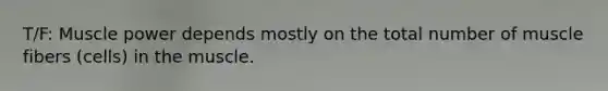 T/F: Muscle power depends mostly on the total number of muscle fibers (cells) in the muscle.