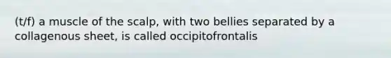 (t/f) a muscle of the scalp, with two bellies separated by a collagenous sheet, is called occipitofrontalis