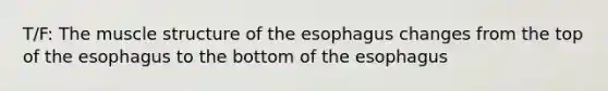 T/F: The muscle structure of the esophagus changes from the top of the esophagus to the bottom of the esophagus